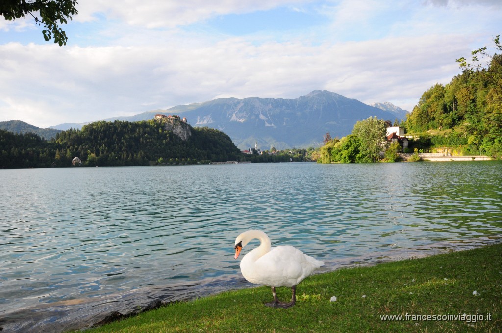 Bled  2011.07.29_43.JPG